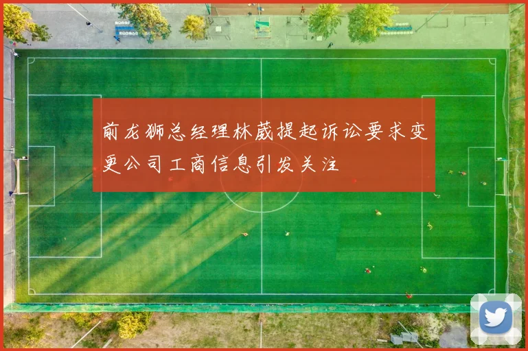 前龙狮总经理林葳提起诉讼要求变更公司工商信息引发关注