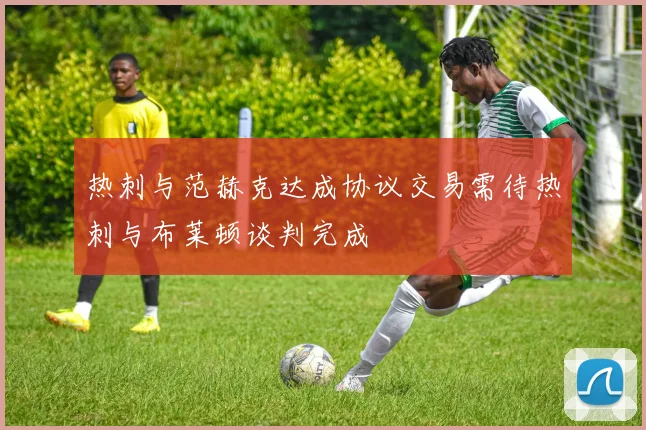 热刺与范赫克达成协议交易需待热刺与布莱顿谈判完成
